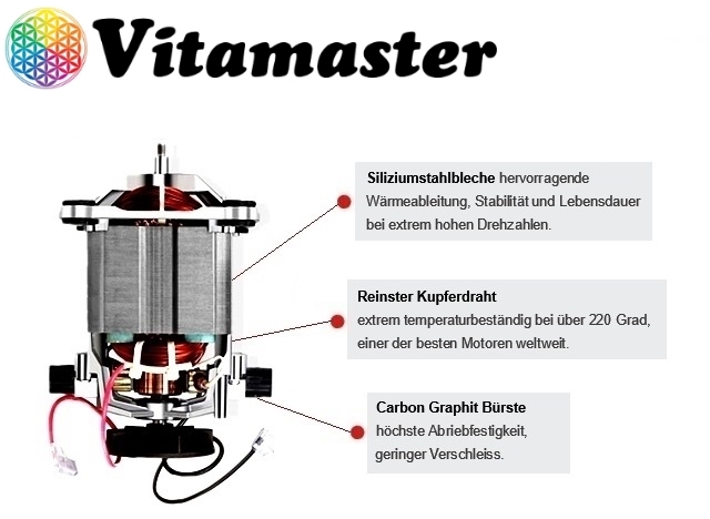 Vitamaster Motor Detail